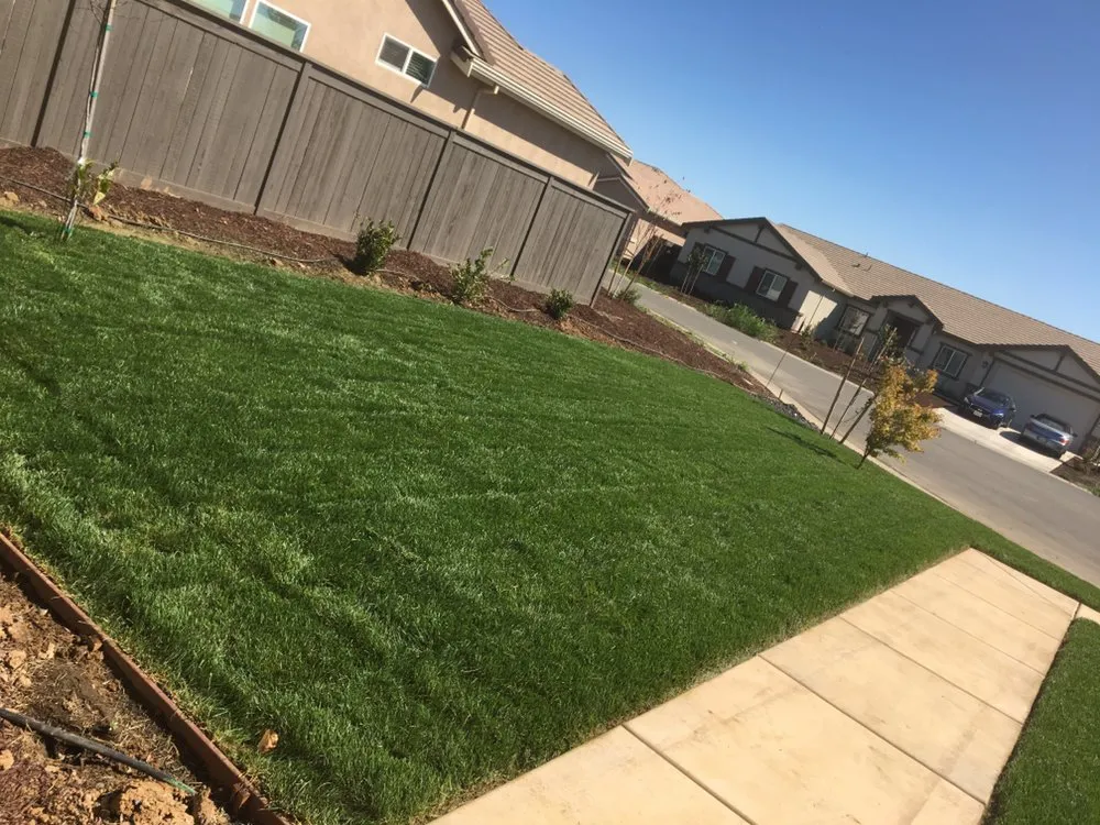 Expert lawn care service for year-round maintenance in Sacramento, CA by Mario’s landscaping