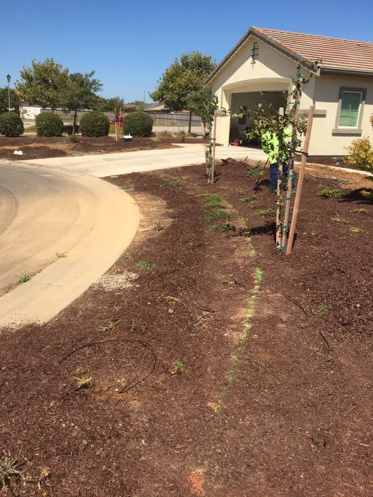 Custom landscaping services near you across Sacramento, CA - Mario’s landscaping