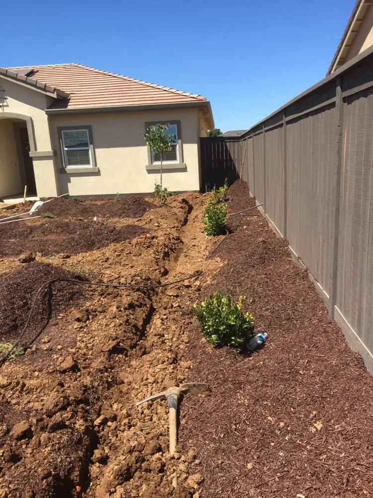 Custom lawn mowing service in Sacramento, CA - Mario’s landscaping