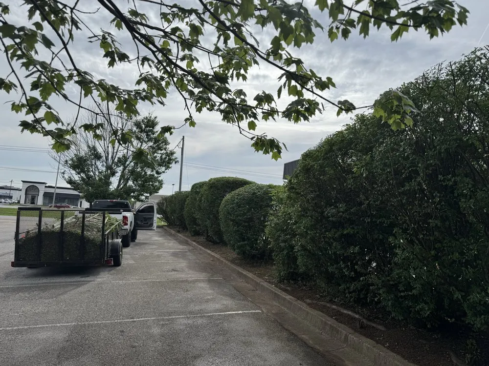 Expert outdoor landscaping in Bowling Green, KY - Marios Lawn And Landscaping