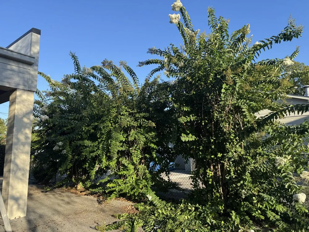 Trusted residential landscaping for homes in Bowling Green, KY by Marios Lawn And Landscaping