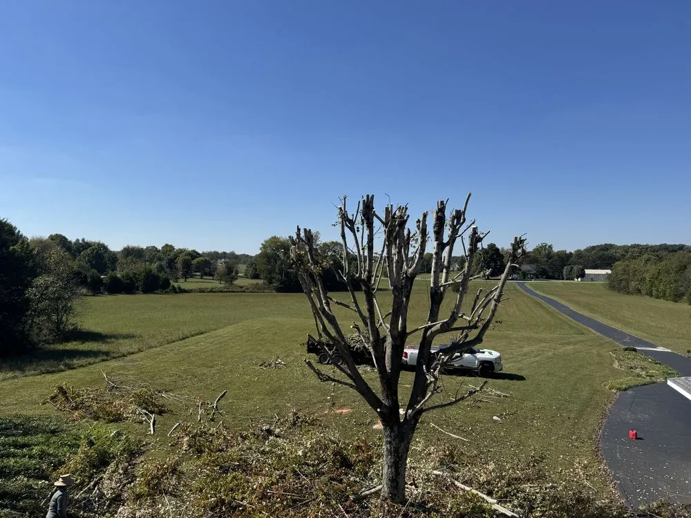 Custom landscaping services for beautiful yards in Bowling Green, KY by Marios Lawn And Landscaping