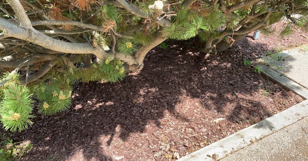 Expert residential landscaping for outdoor upgrades across Billings, MT - Marios Lawn Care & Snow Removal