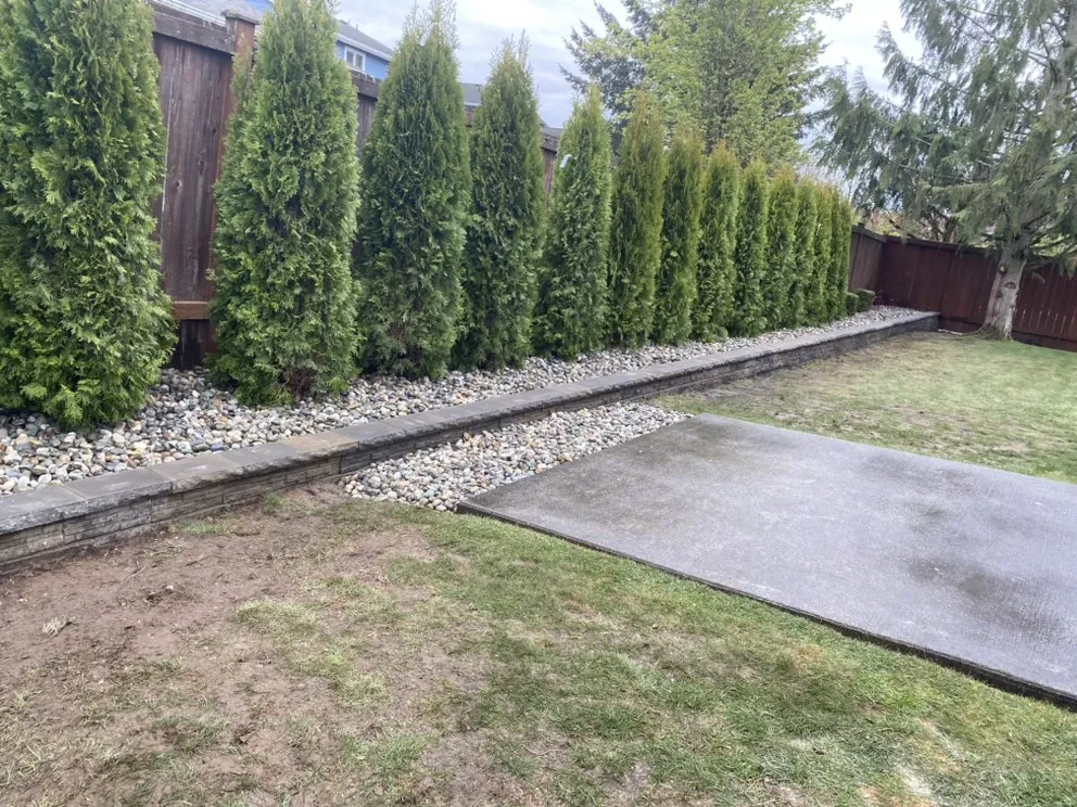 Affordable lawn mowing service for outdoor upgrades in Arlington, WA by Mario’s Lawn Care and more