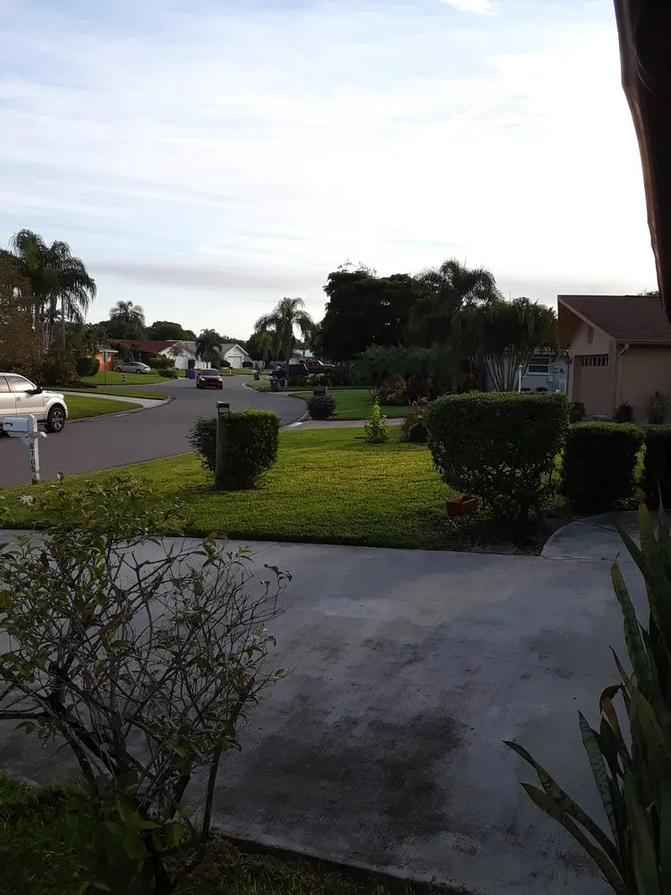 Top-rated garden landscaping in Marco Island, FL - Mario's lawn care