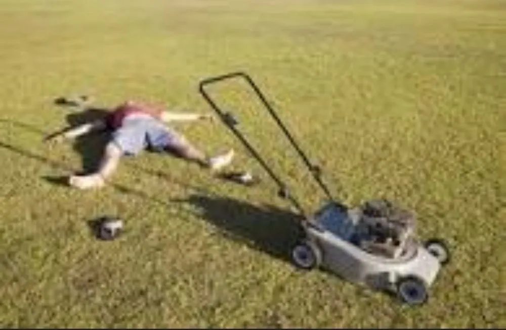 Affordable yard cleanup service in Marco Island, FL by Mario's lawn care