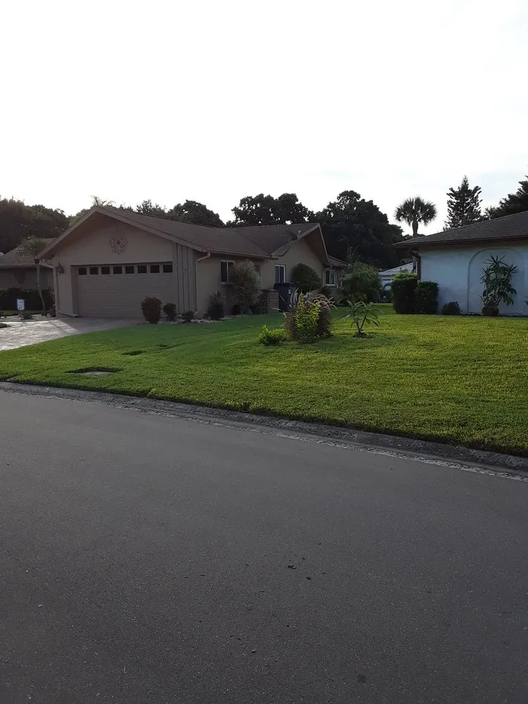 Affordable landscape installation experts serving Marco Island, FL - Mario's lawn care