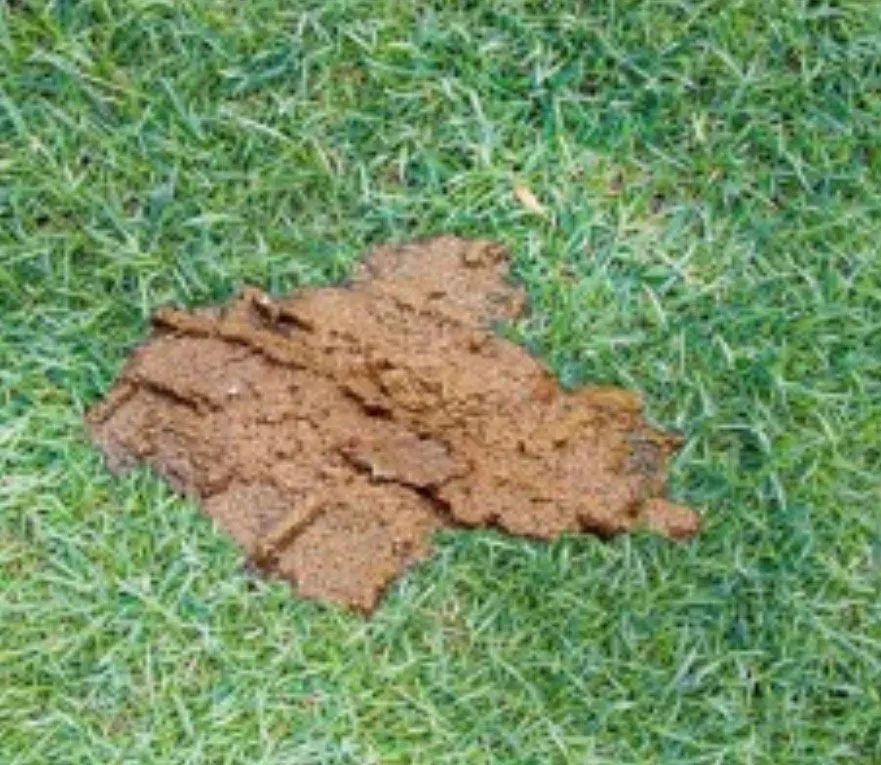 Reliable landscape installation for residential properties across Marco Island, FL - Mario's lawn care