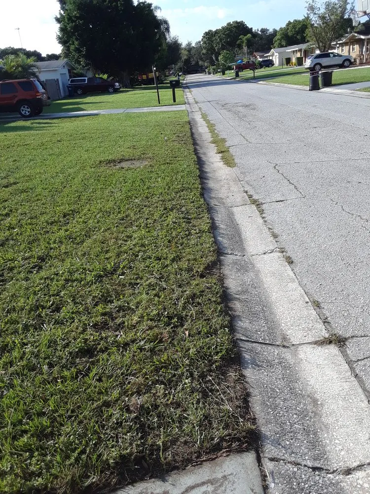 Affordable garden landscaping for outdoor upgrades across Marco Island, FL - Mario's lawn care