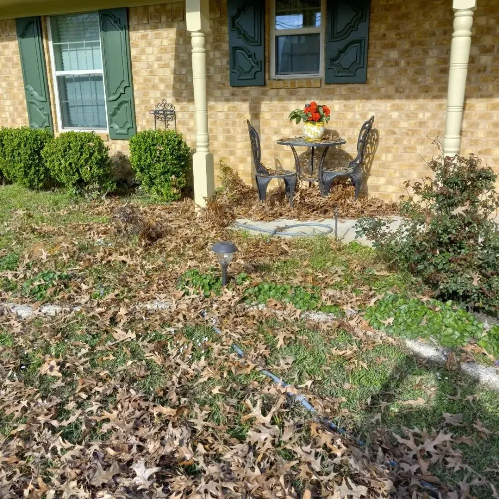Reliable landscape design for beautiful yards in Henderson, TX by Mario's Lawn Care Services