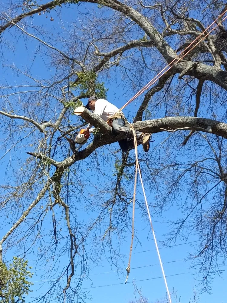 Affordable residential landscaping in Henderson, TX by Mario's Lawn Care Services