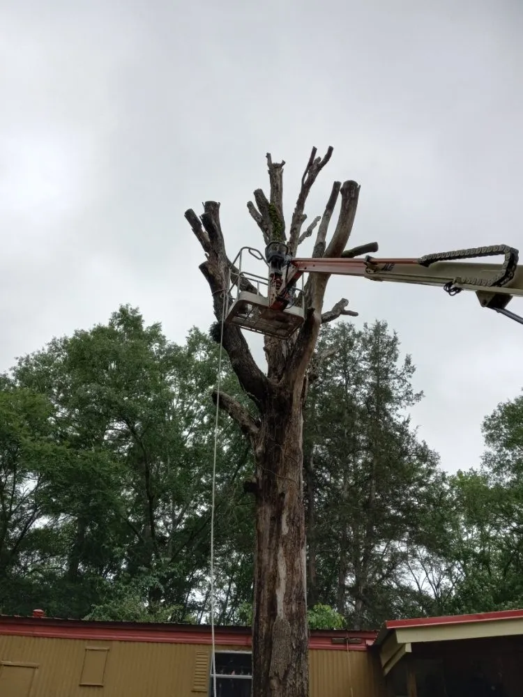 Professional garden landscaping in Henderson, TX - Mario's Lawn Care Services