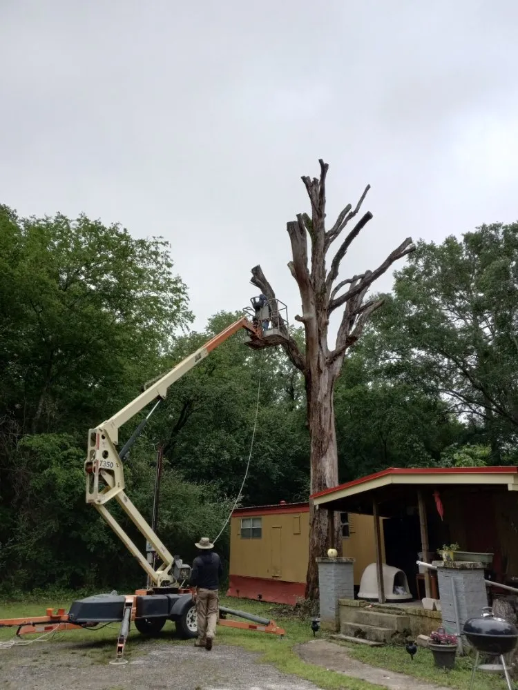 Professional landscaping services in Henderson, TX - Mario's Lawn Care Services