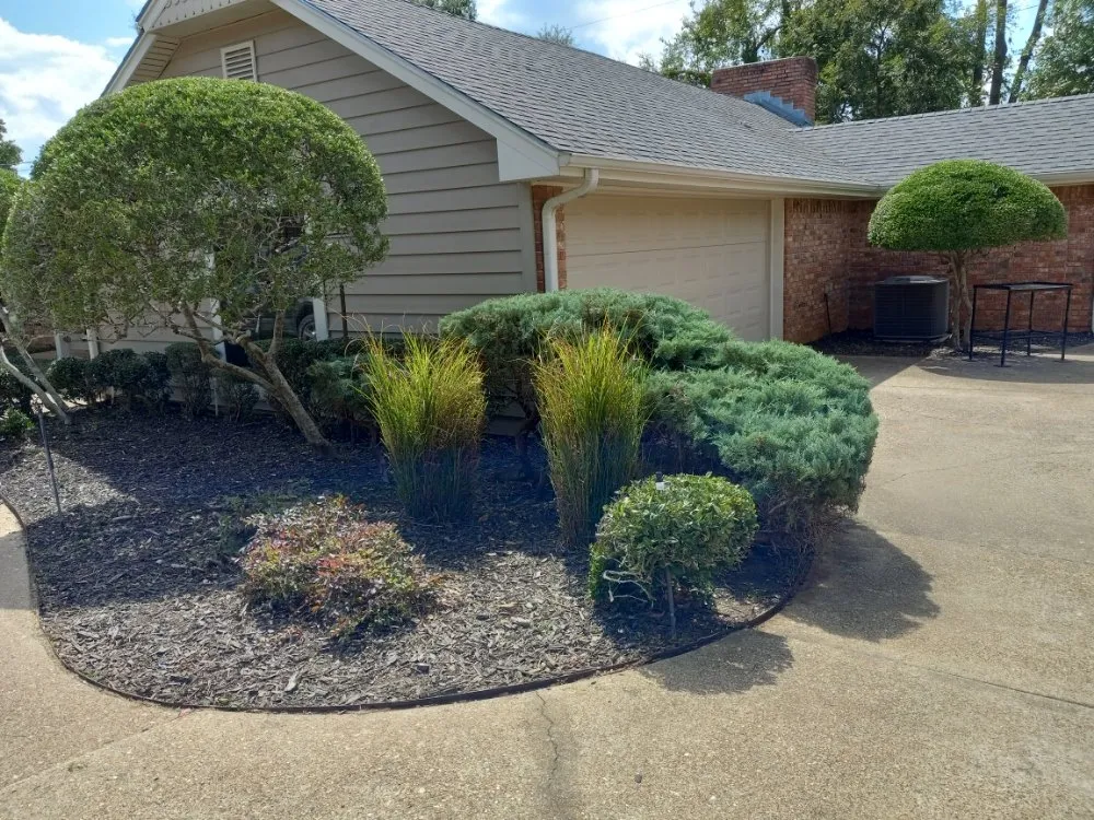 Trusted yard cleanup service near you in Henderson, TX by Mario's Lawn Care Services