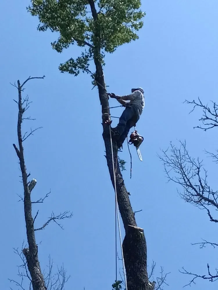 Local landscape design in Henderson, TX by Mario's Lawn Care Services