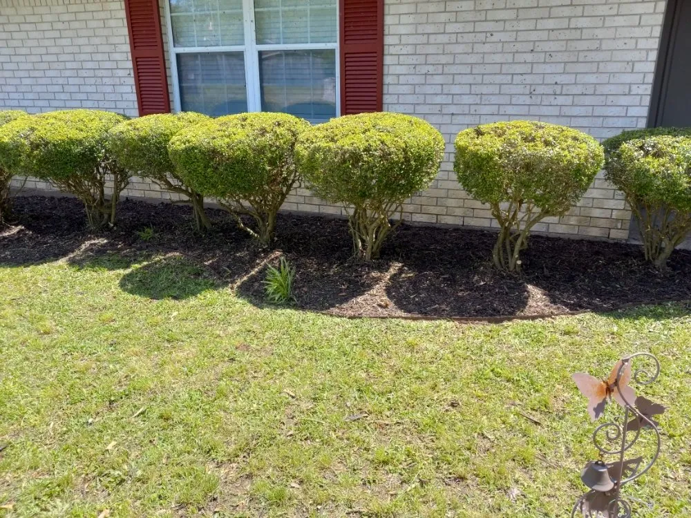 Local lawn care service experts serving Henderson, TX - Mario's Lawn Care Services