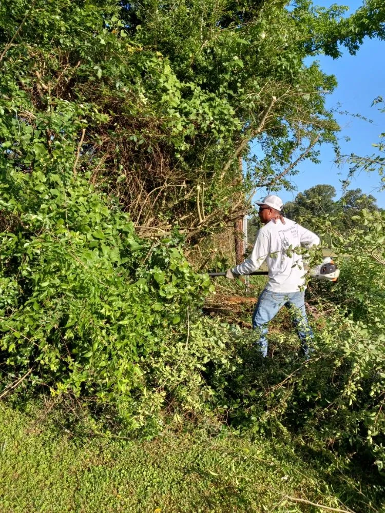 Affordable garden landscaping in Henderson, TX - Mario's Lawn Care Services