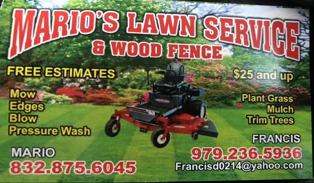 Top-rated outdoor landscaping in Houston, TX by Mario’s Lawn Service & Wood Fence