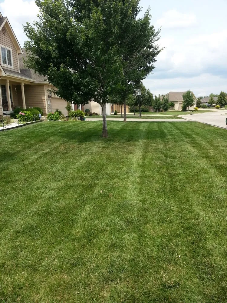 Trusted lawn mowing service in Lawrence, KS by Marios