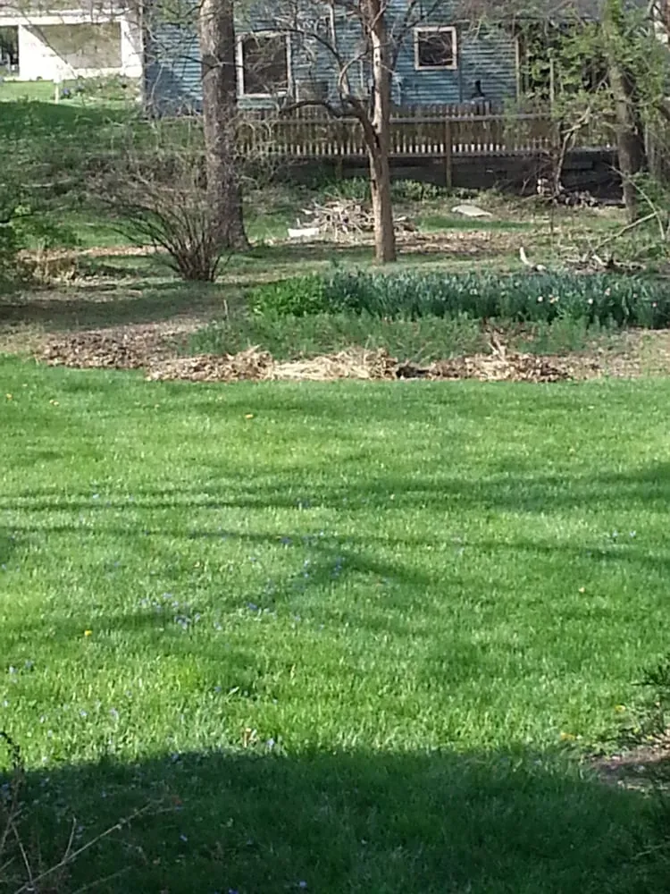 Professional garden landscaping experts serving Lawrence, KS - Marios