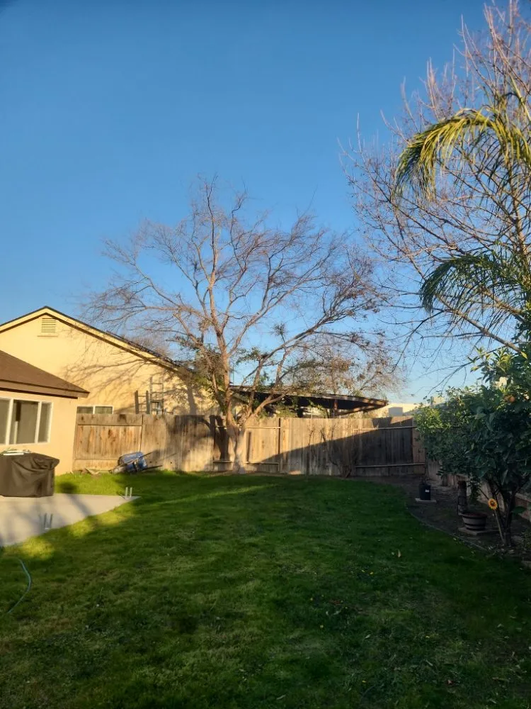 Expert residential landscaping experts serving Bakersfield, CA - Mario's Tree Care