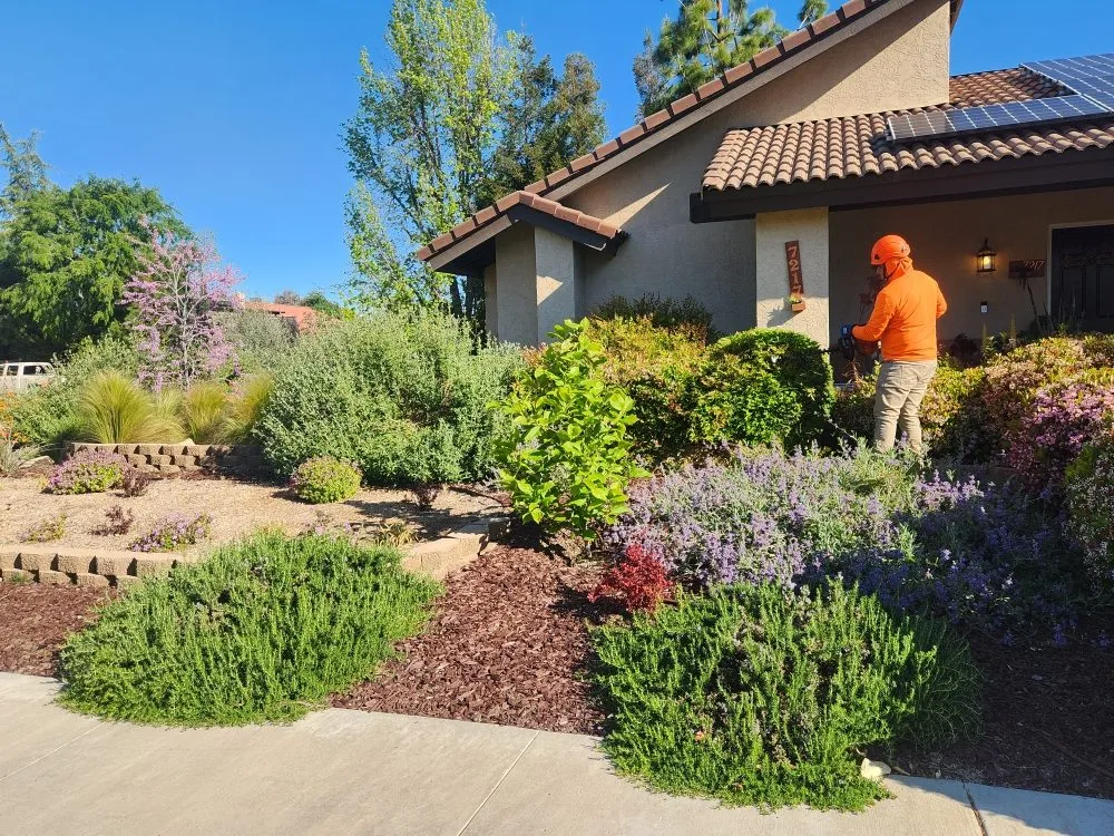 Reliable landscaping services in Bakersfield, CA - Mario's Tree Care