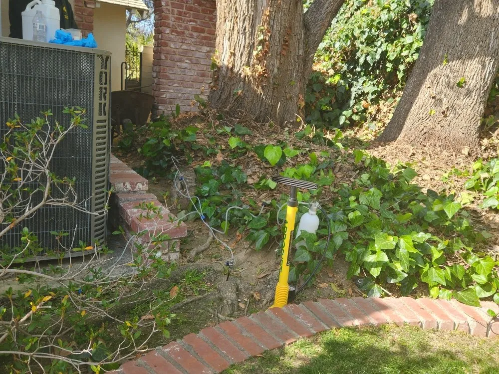 Affordable landscape installation experts serving Bakersfield, CA - Mario's Tree Care