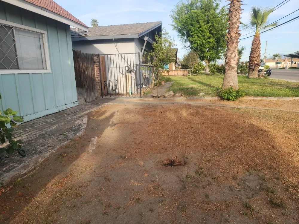 Reliable landscape design in Bakersfield, CA - Mario's Tree Care