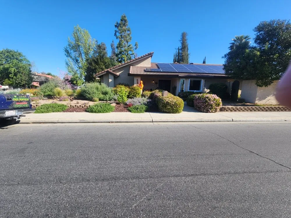 Custom landscape design for residential properties across Bakersfield, CA - Mario's Tree Care
