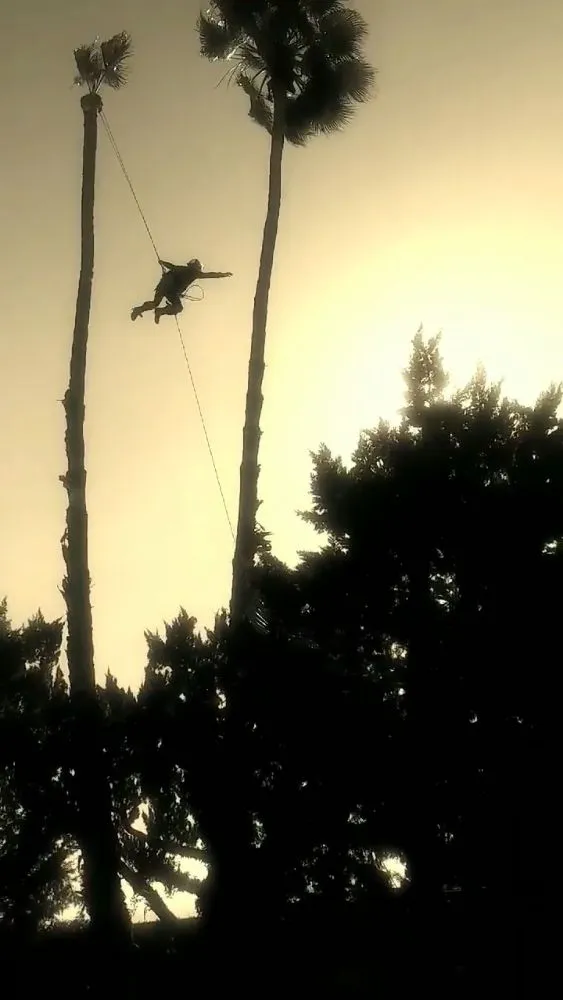 Custom residential landscaping for residential properties in Bakersfield, CA by Mario's Tree Care