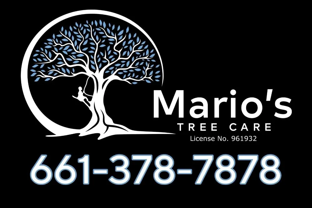 Trusted landscape installation for homes across Bakersfield, CA - Mario's Tree Care