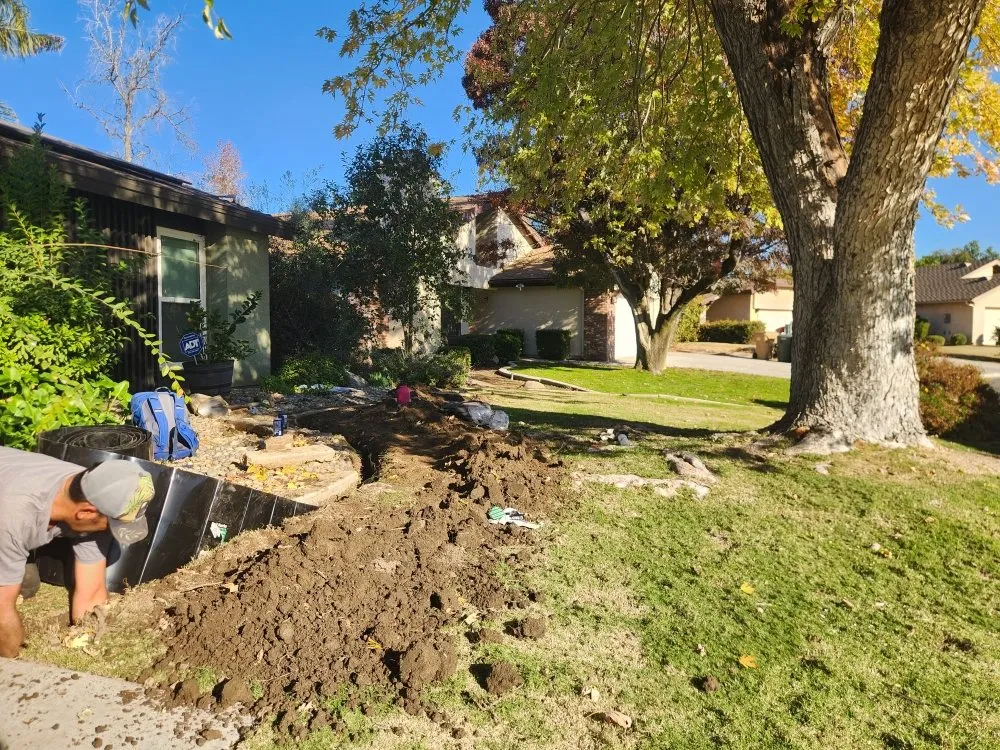Trusted lawn care service in Bakersfield, CA by Mario's Tree Care