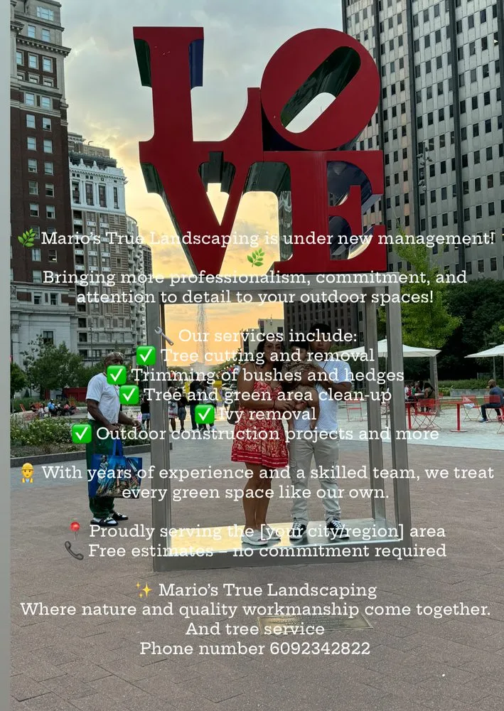 Professional yard cleanup service experts serving Riverside, NJ - Mario's True Landscaping Services