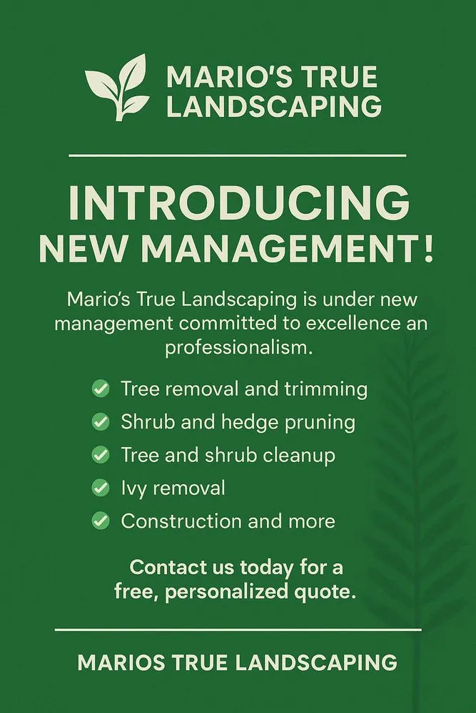 Professional landscape design for homes across Riverside, NJ - Mario's True Landscaping Services