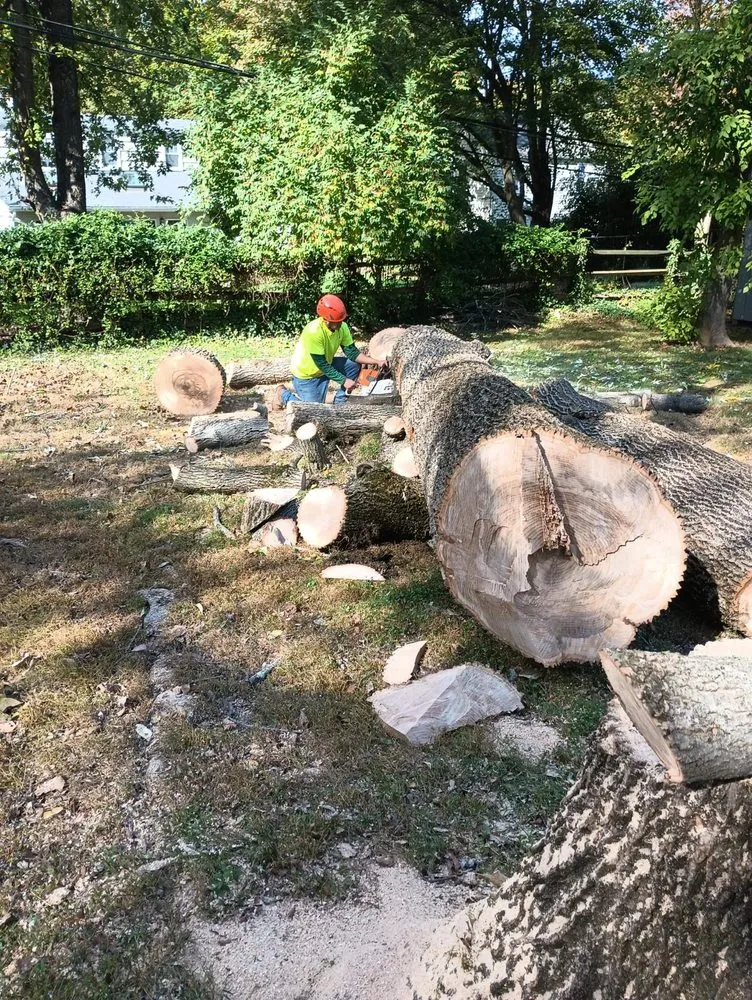 Custom landscape installation in Riverside, NJ - Mario's True Landscaping Services