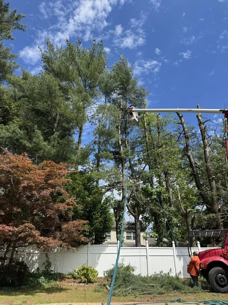 Custom residential landscaping with custom design in Riverside, NJ by Mario's True Landscaping Services