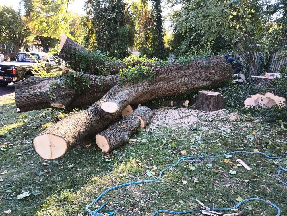 Top-rated outdoor landscaping in Riverside, NJ - Mario's True Landscaping Services