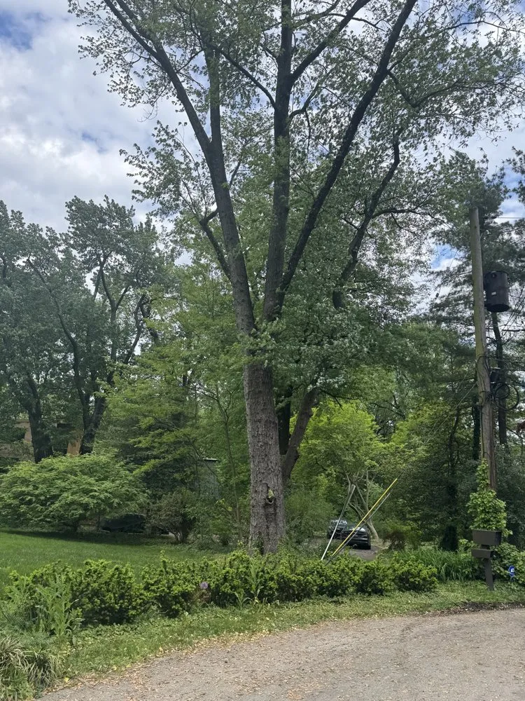 Local lawn mowing service in Riverside, NJ by Mario's True Landscaping Services