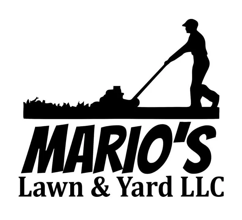 Expert yard maintenance with custom design in Virginia Beach, VA by Mario's Yard and Lawn