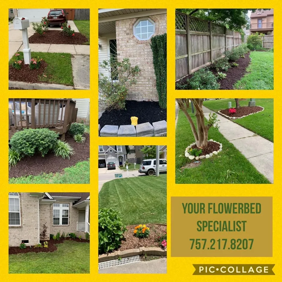 Local yard cleanup service for homes in Virginia Beach, VA by Mario's Yard and Lawn