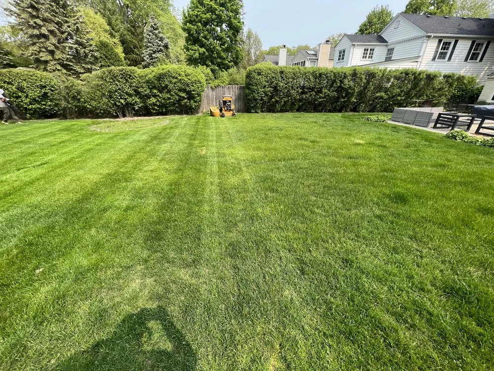 Reliable landscape design in Chicago, IL - Marioscape