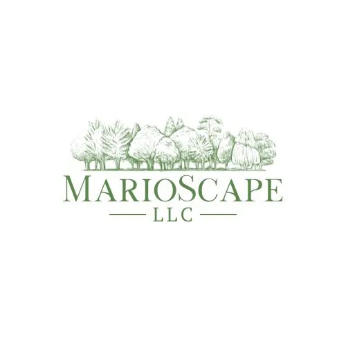Affordable landscape installation for beautiful yards in Chicago, IL by Marioscape