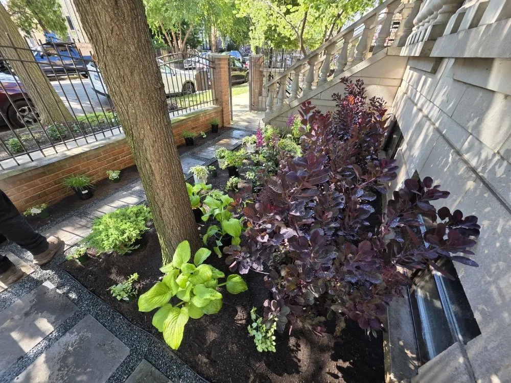 Trusted residential landscaping in Chicago, IL by Marioscape