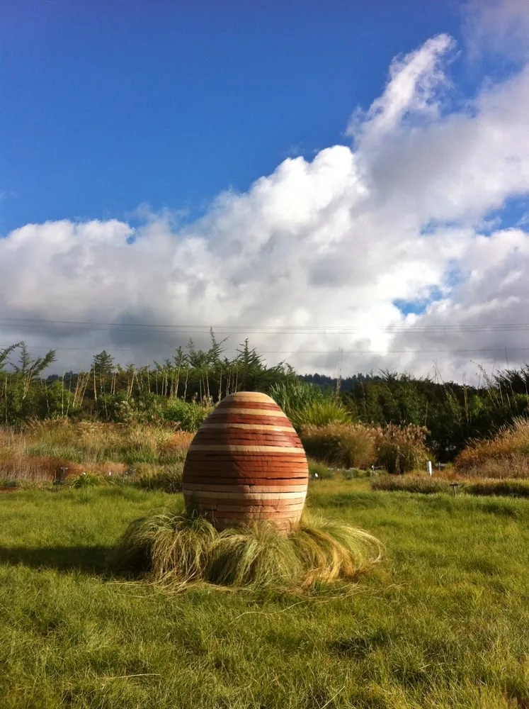 Trusted landscape design for year-round maintenance in Berkeley, CA by Mariposa Gardening & Design