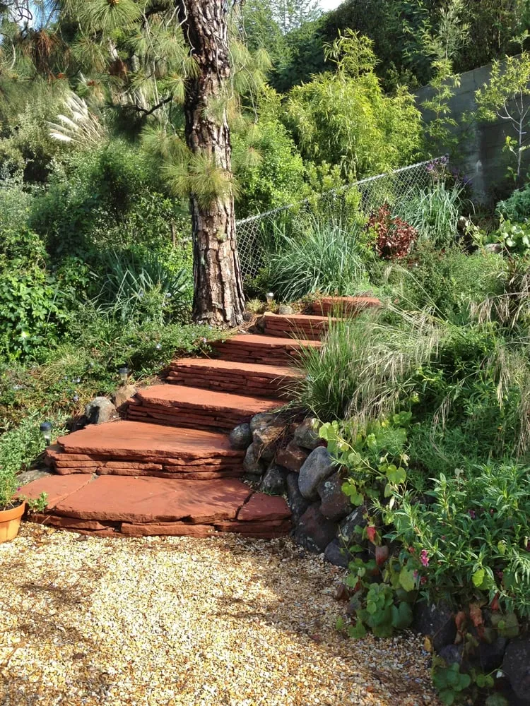 Affordable landscape design in Berkeley, CA by Mariposa Gardening & Design