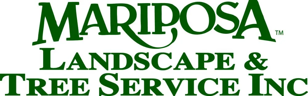 Professional landscape design with custom design in Rancho Santa Fe, CA by Mariposa Landscape & Tree Service