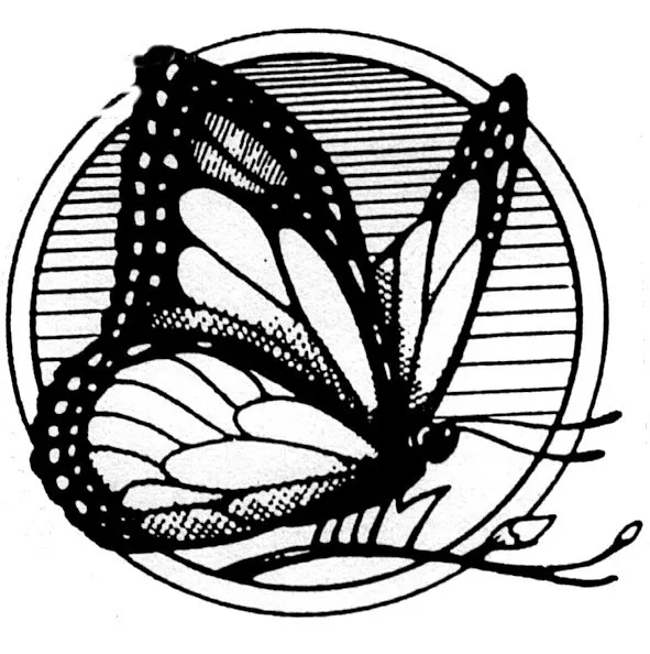 Trusted yard cleanup service for homes in Rancho Santa Fe, CA by Mariposa Landscape & Tree Service