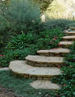 Professional yard cleanup service for residential properties across Rancho Santa Fe, CA - Mariposa Landscape & Tree Service