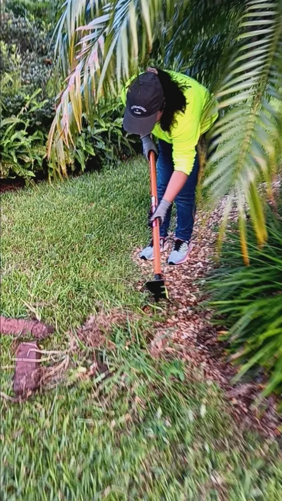 Trusted yard maintenance for outdoor upgrades in Orlando, FL by Marjav Landscaping