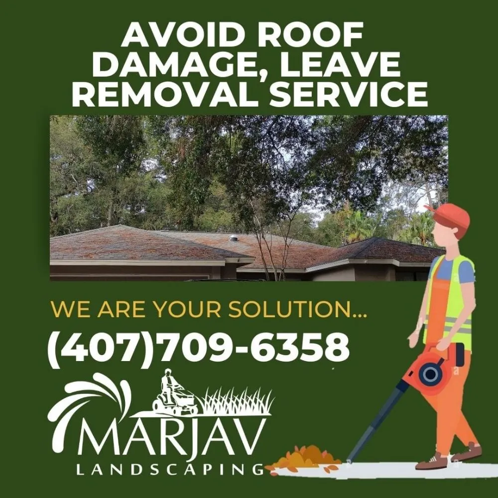 Professional outdoor landscaping experts serving Orlando, FL - Marjav Landscaping